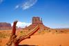 Monument Valley