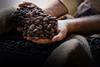 ibm_how_blockchain_is_illuminating_the_supply_chain
