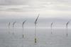 wind farm