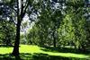 Green Park