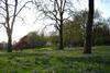Hyde Park