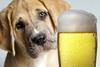 alcohol will make you sad