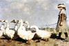 Pastures by Guthrie