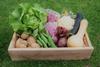 Veg_box