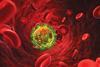 Red_Blood_Cells
