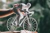 Cyclist