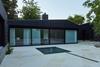 Peacock1