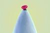 Blood cell