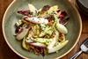 chicory_salad