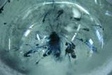 Solvated electrons