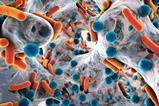 Bacteria resistance