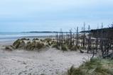 Ynys llanddwyn