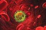 Red_Blood_Cells
