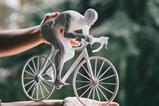 Cyclist