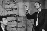 Watson and Crick