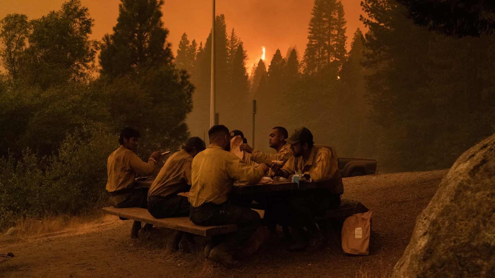 California wildfires longform article 7