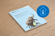 Managing Data as an Asset and a Risk
