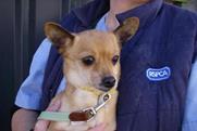 chihuahua left on train
