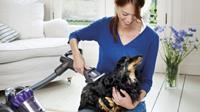 Dyson+groom+tool