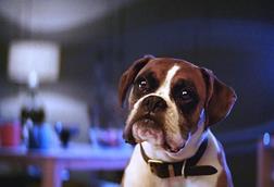 John lewis buster