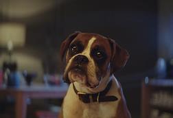 JohnLewis1-20161109021821938