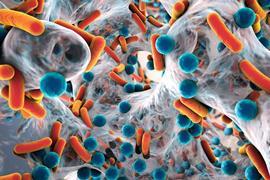 Bacteria resistance