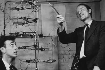 Watson and Crick