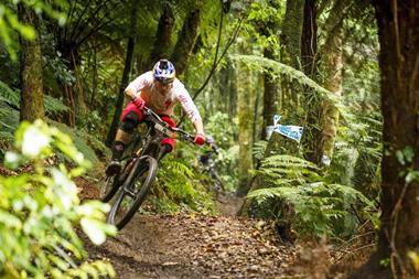 Curtis Keene