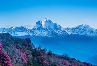 mount-dhaulagiri