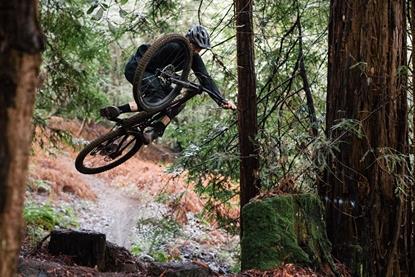 The new Stumpjumper