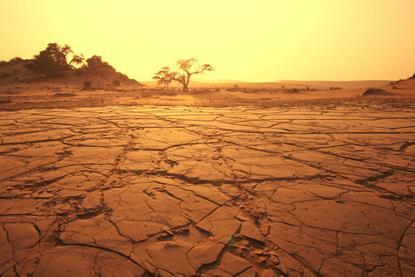 desert2