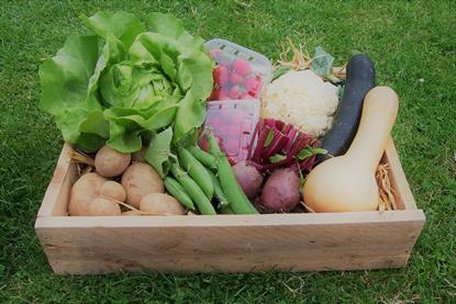 Veg_box