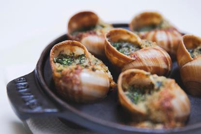 lf-taste-of-france-dsh