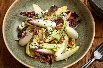 chicory_salad