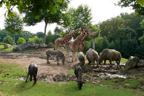 beauval 1