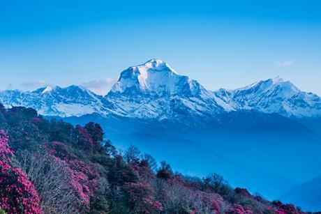 mount-dhaulagiri