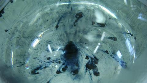 Solvated electrons