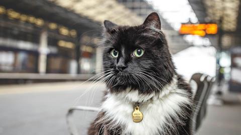 Felix the Huddersfield Station cat