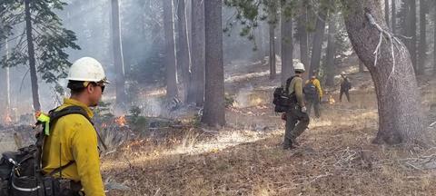 California wildfires longform article 12
