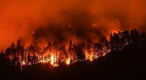 California wildfires longform article 15