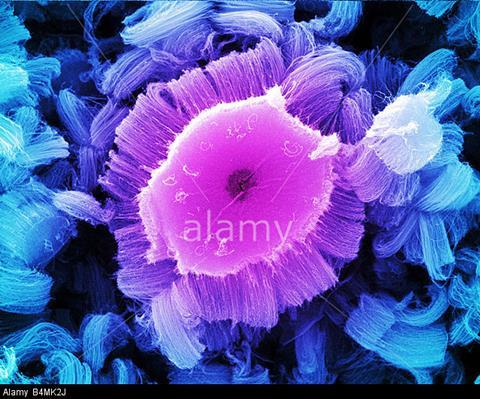 View looking down into carbon nanotube which deliver cancer drugs