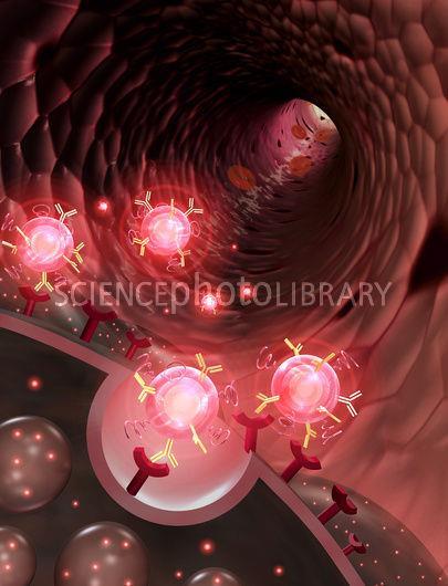 Nano particles in bloodstream