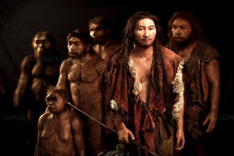 homo sapiens