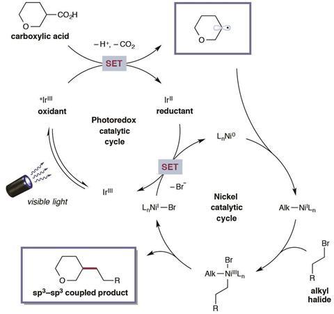 Figure 2 schematic