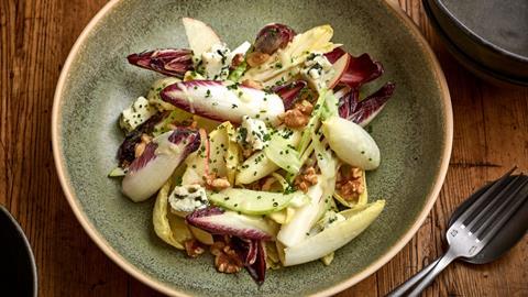 chicory_salad